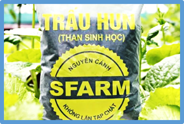 Biochar in the circular bionutrient economy