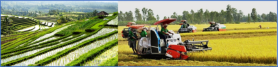 Vietnam Agriculture In 2024: Accelerate Creativity & Sustainable Efficiency
